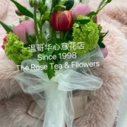 IMG_4037-225x300