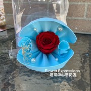 image2 (23)